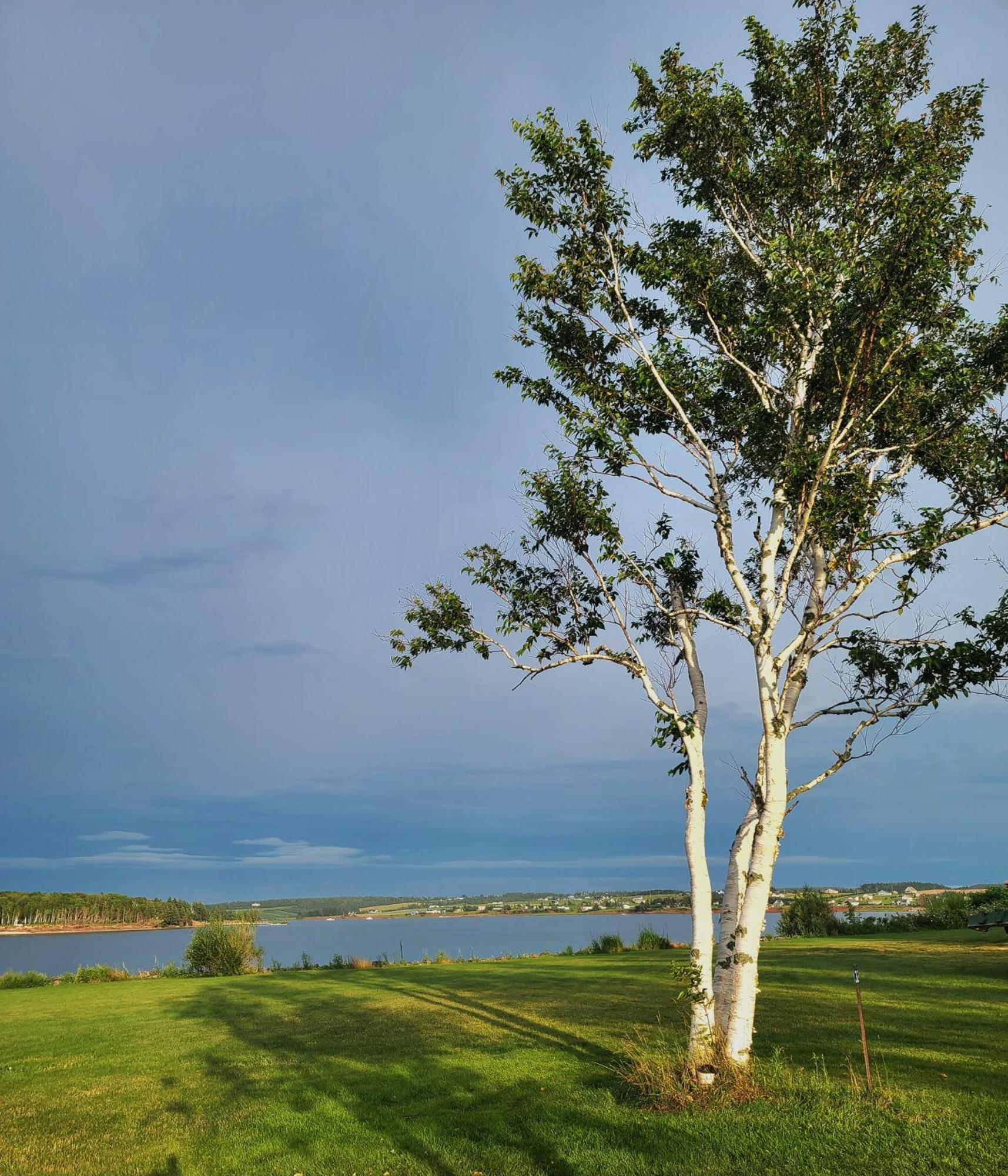 Margate Homestead 'Art House' /Views/Beaches/Golf Kensington Extérieur photo